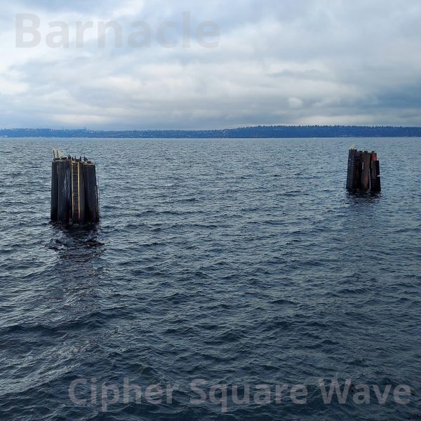 Barnacle - Cipher Square Wave Cassette + Digi